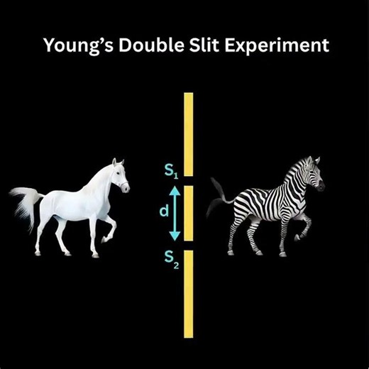 Young’s Double Slit Experiment Changed Physics Forever! 🌌