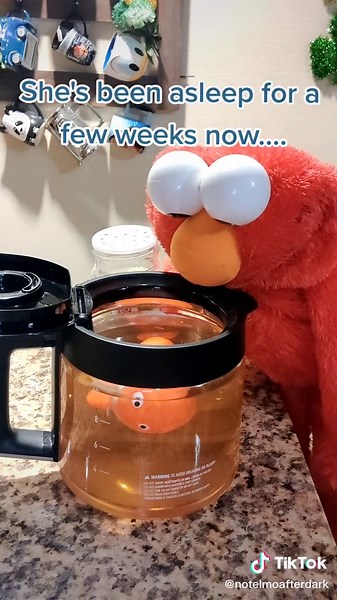 #elmo #elmoafterdark #elmosworld #elmosontiktok #darkhumour #darkhumor #fyp #follow #followformorevideo #fish #goldfish #share #funny #funnyvideos