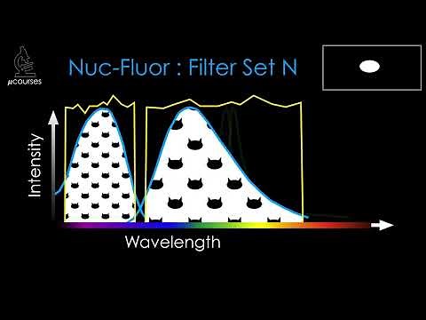 Fluorescence Filters: Imaging Multiple Fluorophores & Dealing with Bleed-through