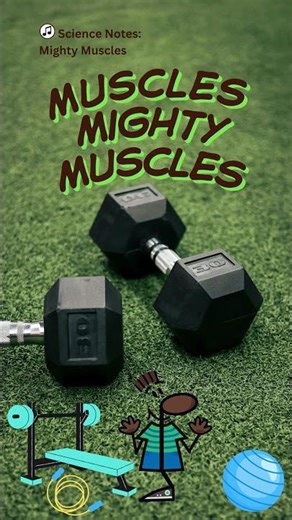 Muscles Science Kids Music