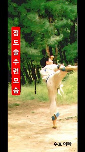 🎈수호 아빠가 수련했던 정도술(전통무술), Jeongdosul (Traditional Martial Art) practiced by Suho's father