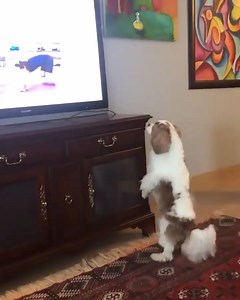 45K views · 555 reactions | Who’s smashing a workout today?  (via @emmaskywalkero on Twitter) | The Body Coach | Facebook