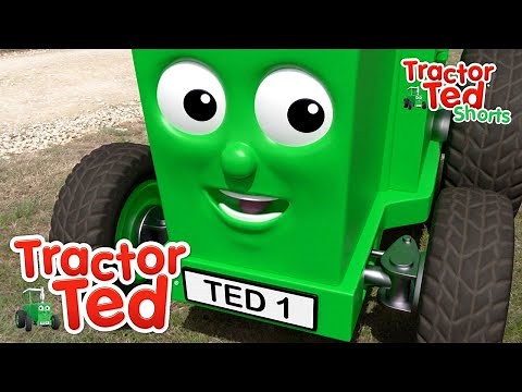Lets Look At Chickens🐓🐔 | Tractor Ted Shorts | Tractor Ted Official Channel