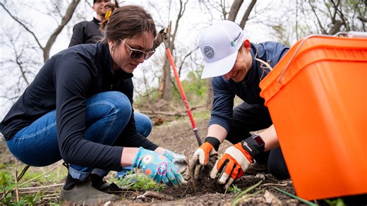Des Moines is giving out free trees. Here's how you can get a Tiny Tree in 2025.