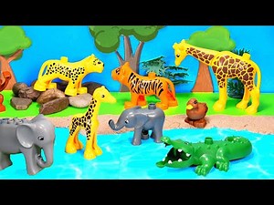 Safari Diorama for Zoo and Wild Animals