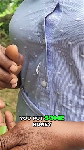 Diabetes Cure? This Leaf's Secret Recipe Revealed! #shorts