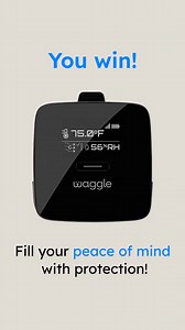 Smart. Simple. Reliable. Waggle Pet Monitor gives you real-time updates on your pet’s environment, plus GPS tracking and geofencing alerts for RV safety — because safety shouldn’t depend on guesswork. | Waggle