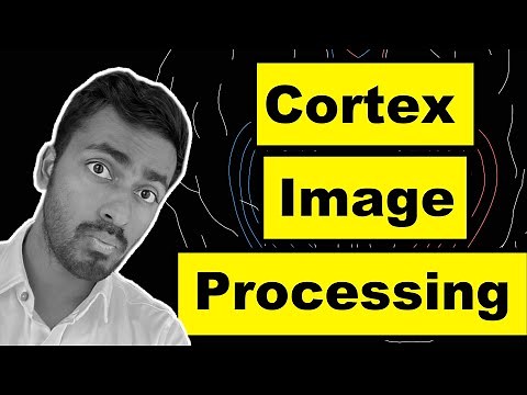 Primary Visual Cortex: How brain processes what we see