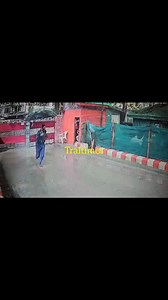 Caught on camera: Man narrowly escapes as tree falls on CRPF post in Srinagar | Tral Times