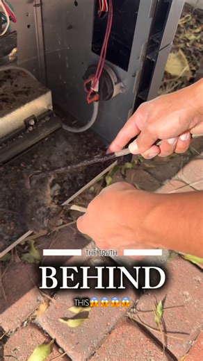 CALIXPERT POOLS on Instagram: "The truth behind this… 🐀🔥 Rats are attracted to the warmth ♨️ and shelter 🏠 inside pool heaters, where they chew wires ⚡, destroy sensors , damage insulation , and cause unexpected shutdowns 😬😬 Most homeowners only find out after the heater stops working ❌ — when the repair is already expensive 💸😣. 👉 Prevention and regular inspections save you money 💰, stress 😌, and your peace of mind #PoolHeaterProblems #HiddenDamage #PeaceOfMind"