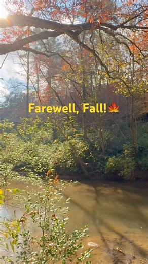 One More Beautiful Fall Hike Before Fall Is Gone #solohiking #nature #fallcolors #silenthiking #asmr