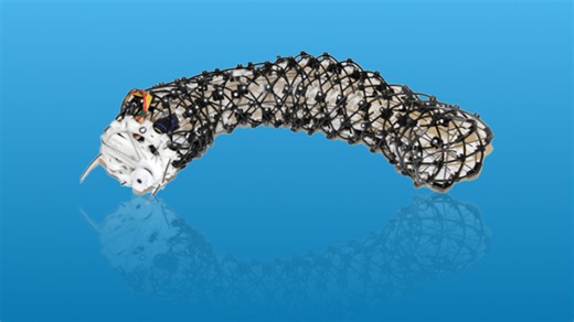 Worm Robot To Help With California Fires