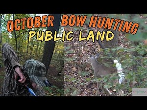 October Bowhunting : Maryland Public land