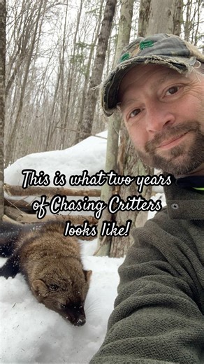 Success on the trapline! Two seasons of chasing critters. #trapping #upperpeninsula