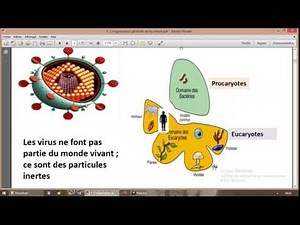 Cellules eucaryotes, procaryotes et virus