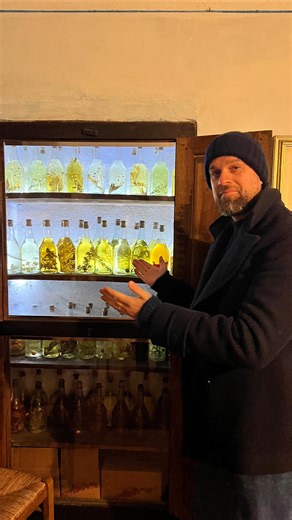 Tortello | One of the best days of Dario’s life (not including his wedding and kids birthdays obviously 🙄 ). @robicosta_ introduced him to the... | Instagram