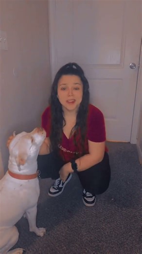 Woman Dancing with a Dog#dancing #dog #music #fun