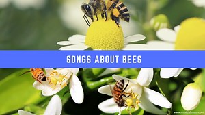 20 Songs About Bees - Musical Mum