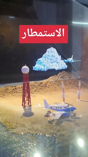 Exploring a Miniature Desert Diorama Display