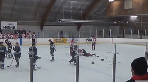 288K views · 783 shares | Coach beats the puck out of linesman that hit his player | NHL Trade Rumors | Facebook