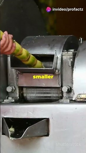 How paper is made from sugarcane ☘️ 🗞️