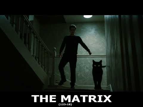 THE MATRIX 123-18 - THE ORACLE