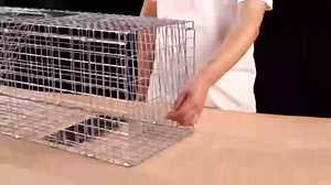Animal Traps,Live Animal Trap for Cats,Rabbits, Squirrels,cat Trap for Stray Cats, Live Traps for Raccoons, Steel Foldable with Pedal Triggers (32 x 11 x 12.6 inches)