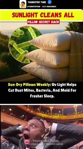 ☀️ The Sunlight Trick That Cleans Your Pillows Better Than Chemicals 😮