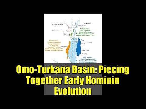 Omo-Turkana Basin: Piecing Together Early Hominin Evolution