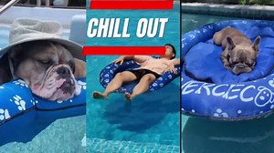 Dog Pool Float Inflatable Dog Floats for Pool Dog Floaties Swimming Pool Floats for Small Medium Large Dog Puncture Proof