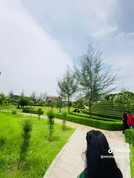 Understanding Dream Death in Popular Culture