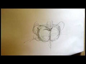 basic Steps On How To Draw A female chest/Torso.