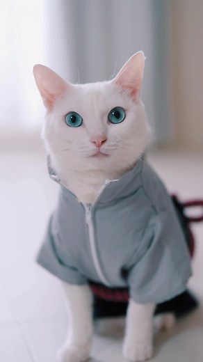 せっかく衣装ができたので名シーンを演技してもらいました🥹💕