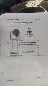 Life sciences/Grade 11 Assignment9MDE/ MAY 20244.2 Study the... | Filo