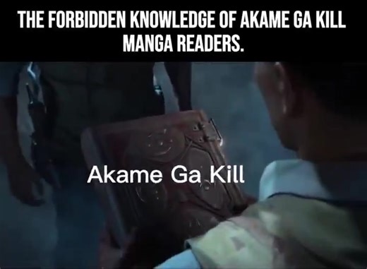 #fyp #targetaudience #akamegakil #anime #manga | mine akame ga ķill
