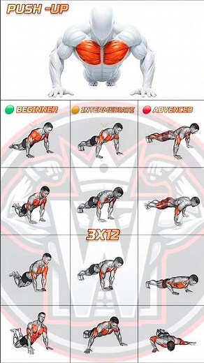 4 Push-Up Variations for a Bigger Chest 💪 | Beginner to Advanced