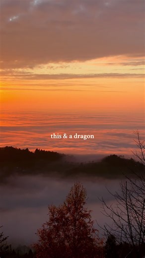 … or being carried by an Illyrian High Lord… ✨🌌⛰️ Had to reacreate this after seeing @natalia ◡̈ video and finding this beautiful shot from our trip to the Black Forest 🌲 #BookTok #acotar #forthwing #fyp #viral