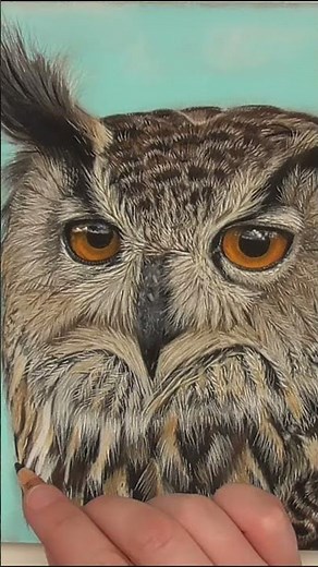 Been wanting to learn how to draw realistic animal portraits with pastel pencils?