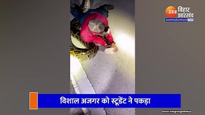 Viral Video: रात में निकला 20 फुट का विशाल अजगर, लोगों ने किया रेस्क्यू