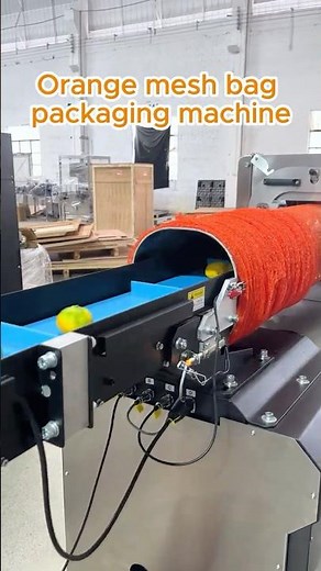 Automatic Orange Mesh Bag Packing Line — Weigh Fill Clip Label in One | Boost Packhouse Throughput