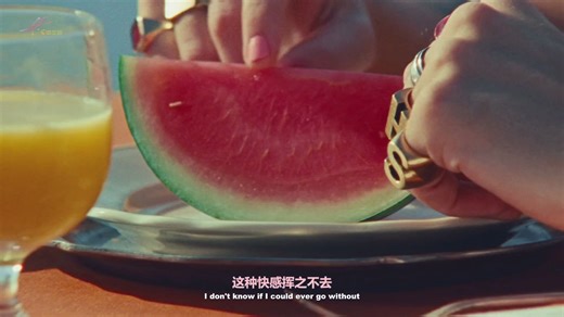 【双语中字】Harry Styles - Watermelon Sugar西瓜糖MV