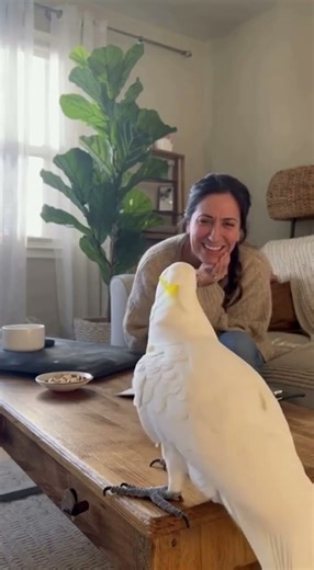 Dn’t copy That, The way Sassin Say it #cocktail