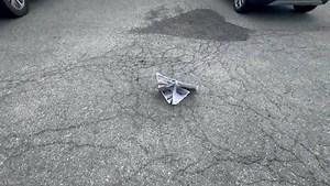 Keeping Up With the Community: Season 2, Episode 4