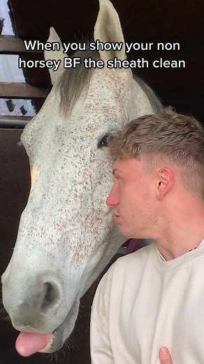 How to Properly Clean a Horse's Sheath