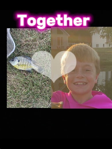 Me And the bluegiggi