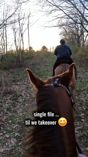 we waited... til we didn't want to anymore 🤣 #horse #equestrian #viral