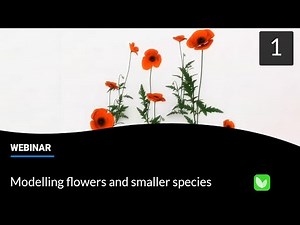 PlantFactory: Modelling flowers and smaller species (webinar, part 1)