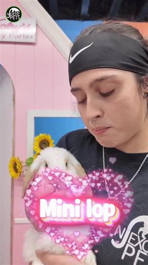 NJ Exotic Pets | HOW CUTE 🥰 🐇🐰 ?!?!? | Instagram