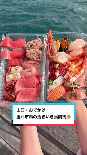 唐戸市場での8,000円の海鮮体験