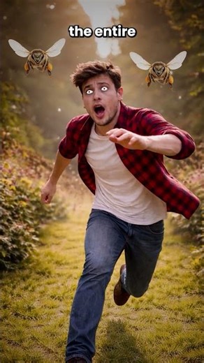 Why Bees Chase You When You Run 🐝